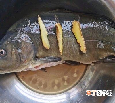 清蒸三道鳞的烹饪方法 三道鳞鱼怎么做好吃
