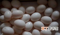 鸽子蛋的常见吃法 鸽子蛋的烹饪方法