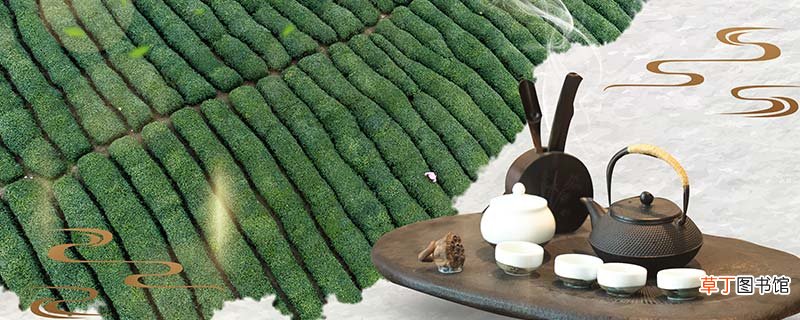 蒸青绿茶的品质特征