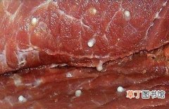 猪肉上的白色颗粒是什么 猪肉肥肉上面一粒一粒的什么情况