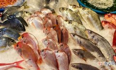 10月海鲜的5种搭档推荐 十月份什么海鲜最肥美