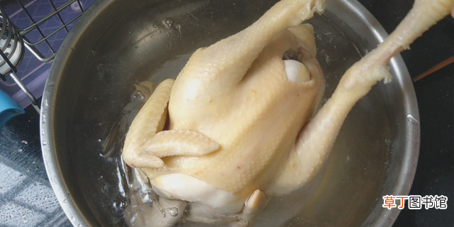 白切鸡的正宗做法分享 白斩鸡的做法家常做法