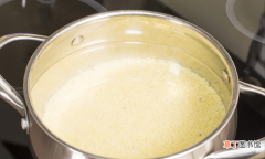 鲜香浓稠小米粥的做法步骤 如何熬小米粥最好喝