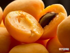杏子是热性还是凉性的 杏子什么时候成熟在几月