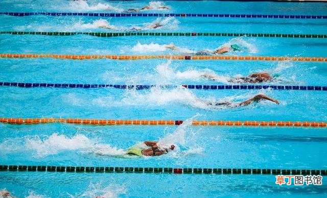 游泳还是跑步更利于减肥 游泳一公里相当于跑步多少公里