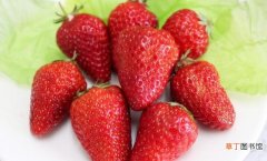 保存草莓的小妙招 草莓如何保存新鲜