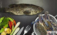 红烧石斑鱼的做法和步骤分享（红烧石斑鱼的2大家常做法)