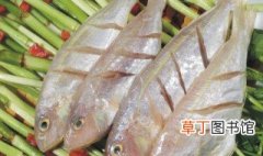 金线鱼的常见吃法 金线鱼的常见吃法有哪些