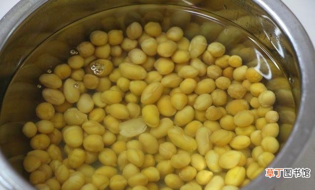 快速泡黄豆的小窍门 黄豆打豆浆要泡多久最营养好喝