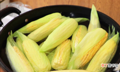 保存玉米的3个技巧 玉米如何储存保鲜
