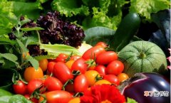 低碳水化合物蔬菜大全 低碳水化合物食物有哪些
