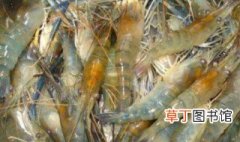 罗氏虾怎么保存 罗氏虾的保存方法