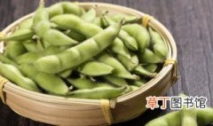 大青豆可以放在冰箱冰冻保存吗