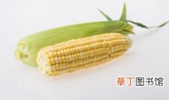 新鲜玉米粒能不能冰冻 新鲜玉米粒可以冰冻保存吗