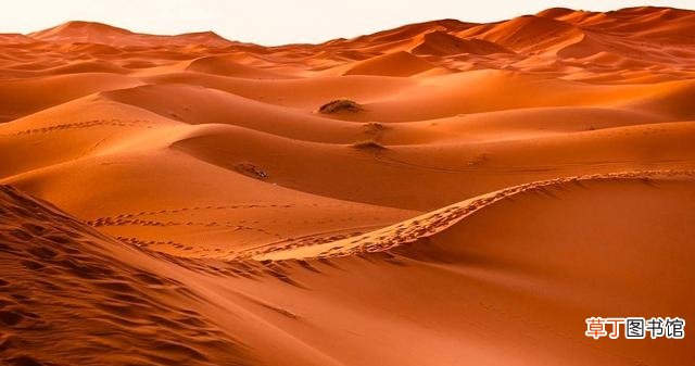 撒哈拉沙漠的前世今生 关于撒哈拉沙漠的简介
