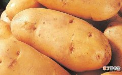 土豆的正确储存方法 土豆怎么放不发芽不发青
