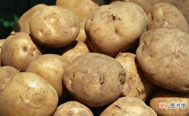 土豆的正确储存方法 土豆怎么放不发芽不发青