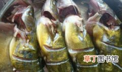 黄角鱼怎么做好吃 黄角鱼如何做好吃