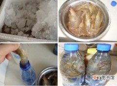 虾保存方法:冰冻1年不会