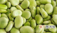 大蚕豆怎么做好吃法 大蚕豆怎么做