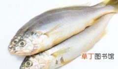 炝锅鱼怎么做 炝锅鱼如何制作