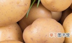 土豆叶子发黄怎么处理 土豆叶子发黄的原因