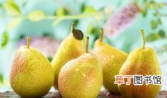 黄冠梨怎么保鲜和储存，黄梨的保存方法