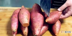 红薯最好吃的7种做法教程 红薯家常做法菜谱大全