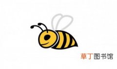 蜜蜂单词怎么读 蜜蜂的英语单词是什么