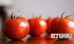 番茄是蔬菜还是水果 番茄是水果吗