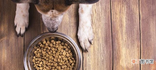 处方狗粮有哪些成分 处方粮和普通粮的区别是什么