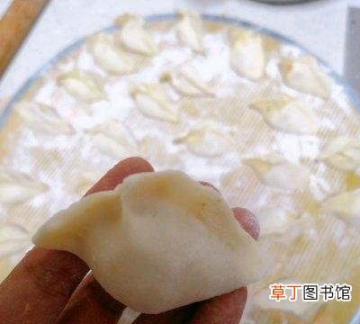 西葫芦虾仁饺子的做法步骤 虾仁和什么包饺子好吃