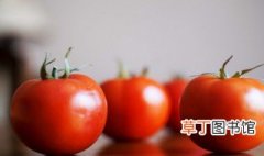 西红柿冷冻保存有害吗储存方法有哪些 西红柿的保存方法