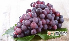 葡萄如何保鲜 葡萄怎么储存和保鲜