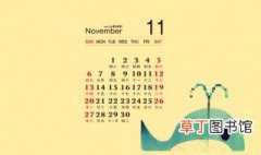 11月有什么重要日子 11月份有什么节日和重要的日子