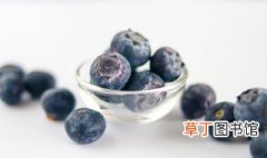 夏季新鲜蓝莓如何挑选 怎么挑选新鲜的蓝莓