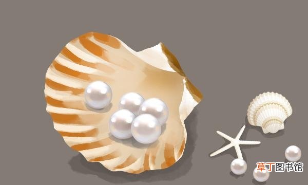 珍珠是怎么形成的安逸（晶莹夺目的珍珠形成过程)