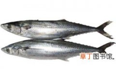 鲅鱼在浙江又叫什么鱼 原来还有这种叫法