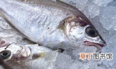 冰冻的鱼怎么做好吃 冻鱼味道保鲜方法分享