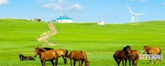蒙古国人均工资 关于蒙古的简介