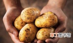 土豆怎样长期保存不发芽 土豆发芽了能吃吗