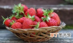 草莓是哪个季节成熟的? 草莓成熟了是什么季节