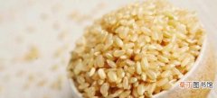 糙米和大米的不同点分析 糙米和大米的区别是什么