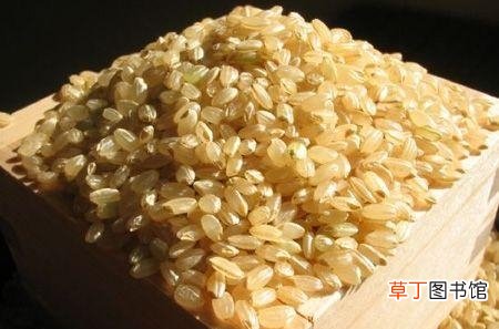 糙米和大米的不同点分析 糙米和大米的区别是什么