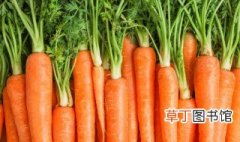 胡萝卜保存方法 如何保存胡萝卜
