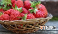 甜宝草莓什么季节成熟 甜宝草莓几月成熟
