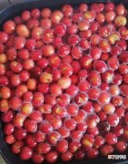 自制樱桃罐头教程图解 樱桃罐头的做法和配方分享
