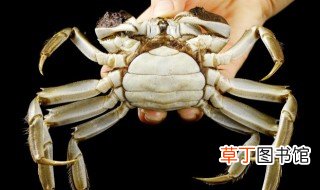 螃蟹腌制方法 螃蟹如何腌制