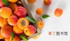 杏子成熟季节什么时候 杏子成熟季节是几月份