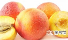 什么季节油桃成熟 油桃几月份成熟期